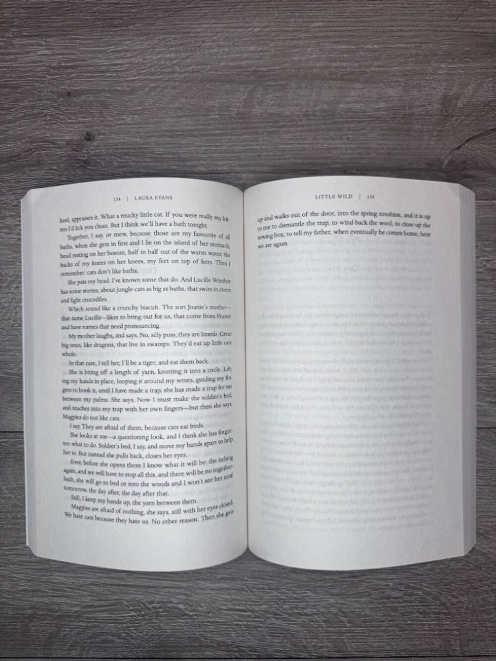 Little Wild Laura Evans ARC Advance Reader Copy Uncorrected Proof Novel Book - Picture 2 of 4